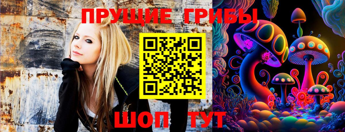 наркотики  Галлюциногенные грибы Psilocybine cubensis  Вход с VPN  Сызрань 